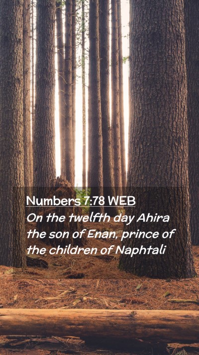 Picture 02 - Numbers 7:78 WEB Mobile Phone Wallpaper - On the twelfth day Ahira the son of Enan, prince - Mobile Bible Verse Wallpaper