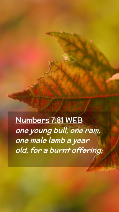 Picture 02 - Numbers 7:81 WEB Mobile Phone Wallpaper - one young bull, one ram, one male lamb a year - Mobile Bible Verse Wallpaper
