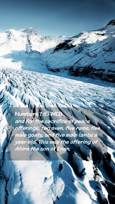 Picture 02 - Numbers 7:83 WEB Mobile Phone Wallpaper - and for the sacrifice of peace offerings, two - Mobile Bible Verse Wallpaper