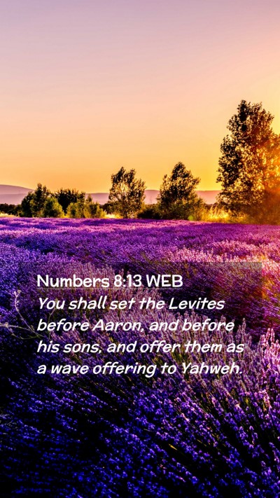 Picture 02 - Numbers 8:13 WEB Mobile Phone Wallpaper - You shall set the Levites before Aaron, and - Mobile Bible Verse Wallpaper
