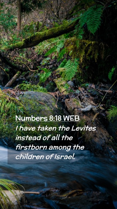Picture 02 - Numbers 8:18 WEB Mobile Phone Wallpaper - I have taken the Levites instead of all the - Mobile Bible Verse Wallpaper