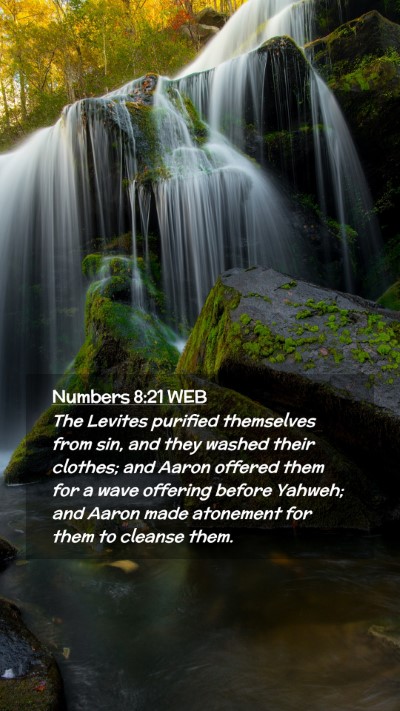 Picture 02 - Numbers 8:21 WEB Mobile Phone Wallpaper - The Levites purified themselves from sin, and - Mobile Bible Verse Wallpaper
