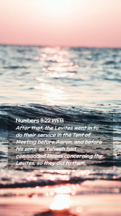 Picture 02 - Numbers 8:22 WEB Mobile Phone Wallpaper - After that, the Levites went in to do their - Mobile Bible Verse Wallpaper
