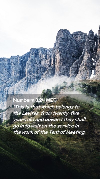 Picture 02 - Numbers 8:24 WEB Mobile Phone Wallpaper - 
