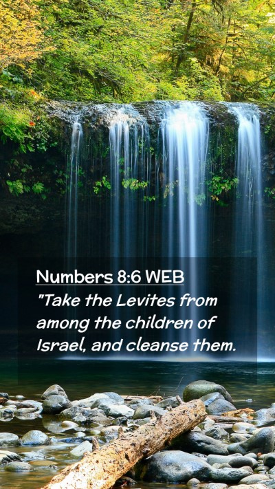 Picture 02 - Numbers 8:6 WEB Mobile Phone Wallpaper - 