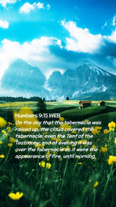 Picture 02 - Numbers 9:15 WEB Mobile Phone Wallpaper - On the day that the tabernacle was raised up, the - Mobile Bible Verse Wallpaper