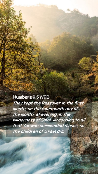 Picture 02 - Numbers 9:5 WEB Mobile Phone Wallpaper - They kept the Passover in the first month, on the - Mobile Bible Verse Wallpaper