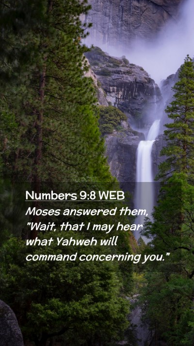 Picture 02 - Numbers 9:8 WEB Mobile Phone Wallpaper - Moses answered them, 