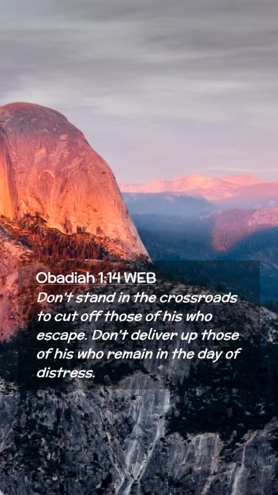 Picture 02 - Obadiah 1:14 WEB Mobile Phone Wallpaper - Don't stand in the crossroads to cut off those of - Mobile Bible Verse Wallpaper