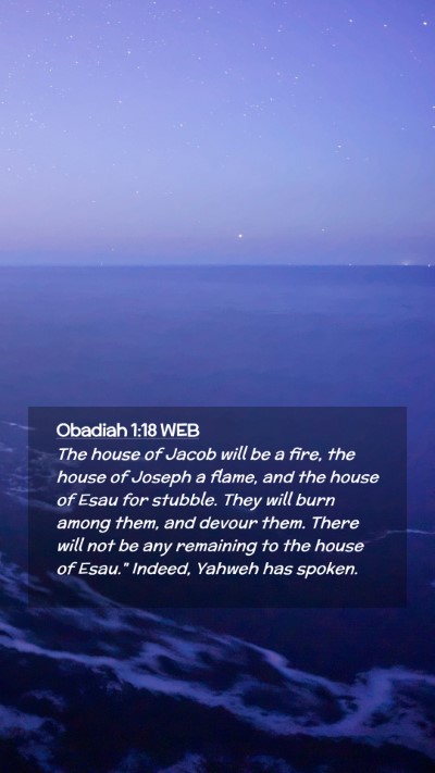 Picture 02 - Obadiah 1:18 WEB Mobile Phone Wallpaper - The house of Jacob will be a fire, the house of - Mobile Bible Verse Wallpaper