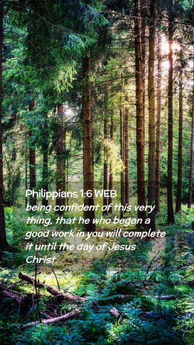 Picture 02 - Philippians 1:6 WEB Mobile Phone Wallpaper - being confident of this very thing, that he who - Mobile Bible Verse Wallpaper