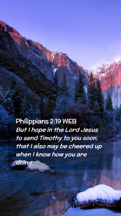 Picture 02 - Philippians 2:19 WEB Mobile Phone Wallpaper - But I hope in the Lord Jesus to send Timothy to - Mobile Bible Verse Wallpaper