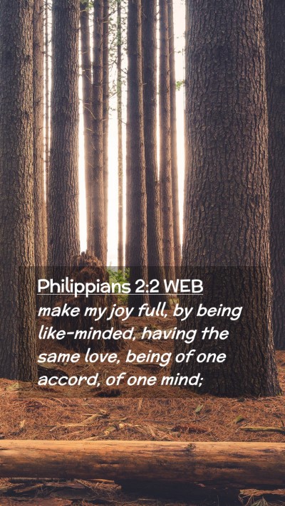 Picture 02 - Philippians 2:2 WEB Mobile Phone Wallpaper - make my joy full, by being like-minded, having - Mobile Bible Verse Wallpaper