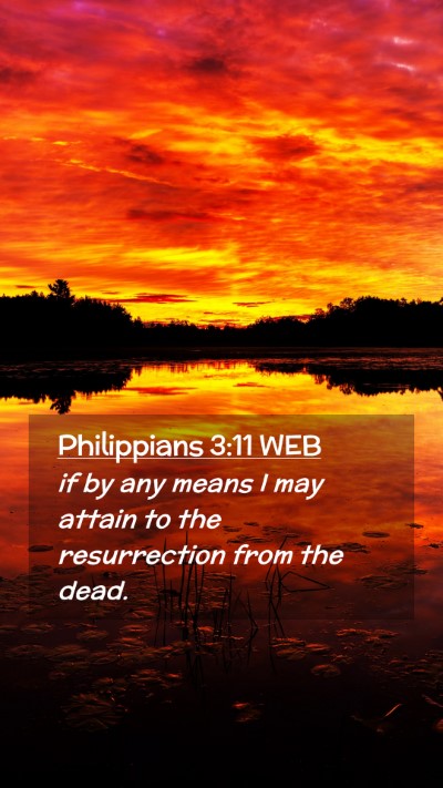 Picture 02 - Philippians 3:11 WEB Mobile Phone Wallpaper - if by any means I may attain to the resurrection - Mobile Bible Verse Wallpaper