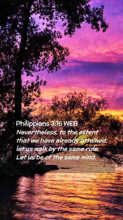 Picture 02 - Philippians 3:16 WEB Mobile Phone Wallpaper - Nevertheless, to the extent that we have already - Mobile Bible Verse Wallpaper
