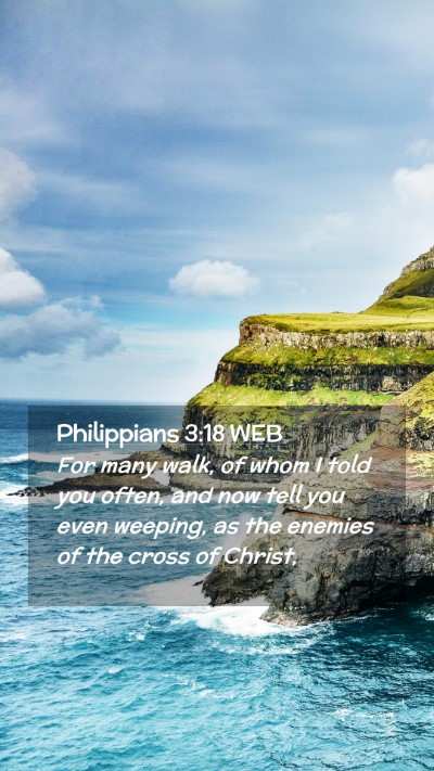 Picture 02 - Philippians 3:18 WEB Mobile Phone Wallpaper - For many walk, of whom I told you often, and now - Mobile Bible Verse Wallpaper