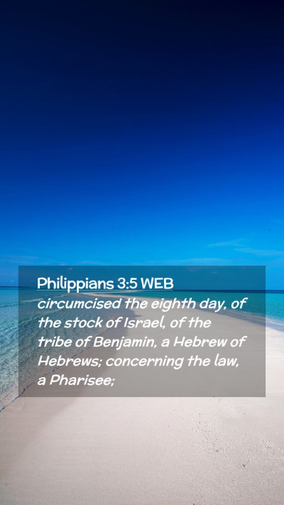 Picture 02 - Philippians 3:5 WEB Mobile Phone Wallpaper - circumcised the eighth day, of the stock of - Mobile Bible Verse Wallpaper