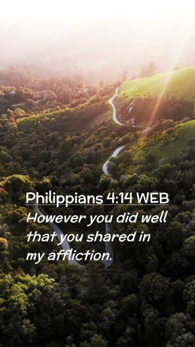 Picture 02 - Philippians 4:14 WEB Mobile Phone Wallpaper - However you did well that you shared in my - Mobile Bible Verse Wallpaper