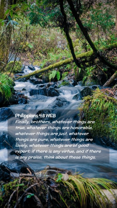 Picture 02 - Philippians 4:8 WEB Mobile Phone Wallpaper - Finally, brothers, whatever things are true, - Mobile Bible Verse Wallpaper