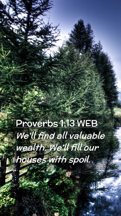 Picture 02 - Proverbs 1:13 WEB Mobile Phone Wallpaper - We'll find all valuable wealth. We'll fill our - Mobile Bible Verse Wallpaper