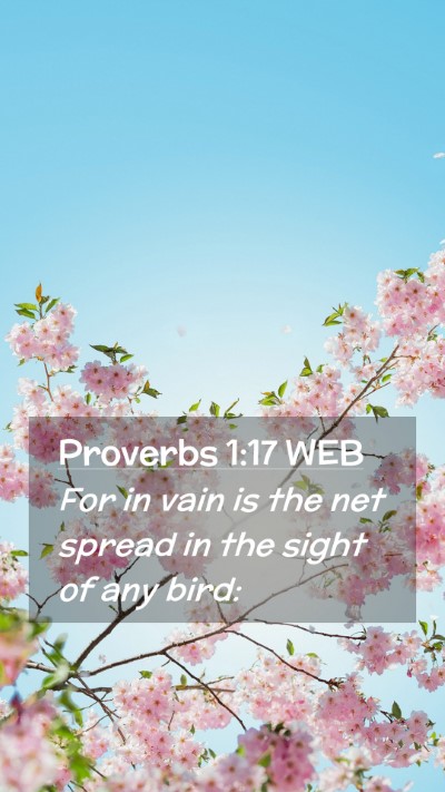 Picture 02 - Proverbs 1:17 WEB Mobile Phone Wallpaper - For in vain is the net spread in the sight of any - Mobile Bible Verse Wallpaper