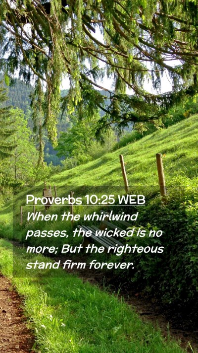 Picture 02 - Proverbs 10:25 WEB Mobile Phone Wallpaper - When the whirlwind passes, the wicked is no more; - Mobile Bible Verse Wallpaper