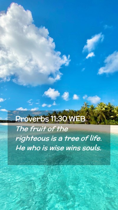 Picture 02 - Proverbs 11:30 WEB Mobile Phone Wallpaper - The fruit of the righteous is a tree of life. He - Mobile Bible Verse Wallpaper