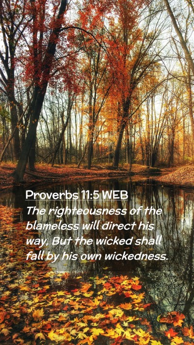Picture 02 - Proverbs 11:5 WEB Mobile Phone Wallpaper - The righteousness of the blameless will direct - Mobile Bible Verse Wallpaper