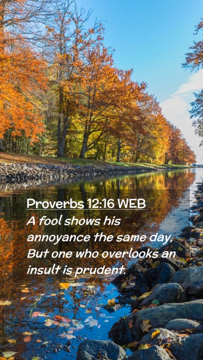 Picture 02 - Proverbs 12:16 WEB Mobile Phone Wallpaper - A fool shows his annoyance the same day, But one - Mobile Bible Verse Wallpaper
