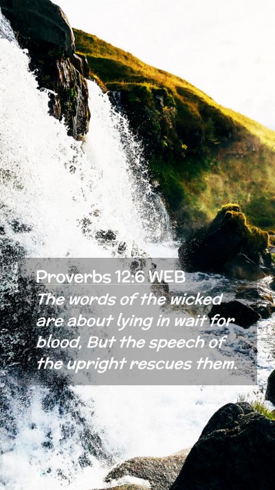 Picture 02 - Proverbs 12:6 WEB Mobile Phone Wallpaper - The words of the wicked are about lying in wait - Mobile Bible Verse Wallpaper