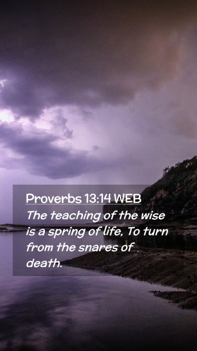 Picture 02 - Proverbs 13:14 WEB Mobile Phone Wallpaper - The teaching of the wise is a spring of life, To - Mobile Bible Verse Wallpaper