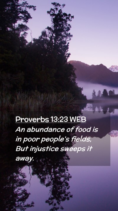 Picture 02 - Proverbs 13:23 WEB Mobile Phone Wallpaper - An abundance of food is in poor people's fields, - Mobile Bible Verse Wallpaper