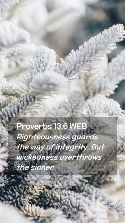 Picture 02 - Proverbs 13:6 WEB Mobile Phone Wallpaper - Righteousness guards the way of integrity, But - Mobile Bible Verse Wallpaper