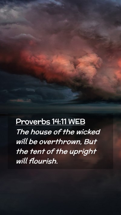 Picture 02 - Proverbs 14:11 WEB Mobile Phone Wallpaper - The house of the wicked will be overthrown, But - Mobile Bible Verse Wallpaper