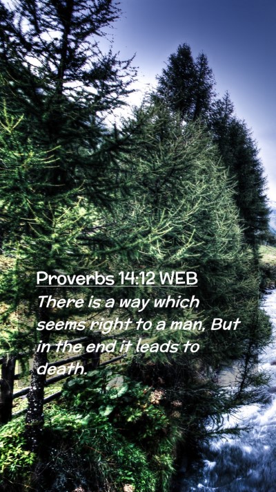 Picture 02 - Proverbs 14:12 WEB Mobile Phone Wallpaper - There is a way which seems right to a man, But in - Mobile Bible Verse Wallpaper