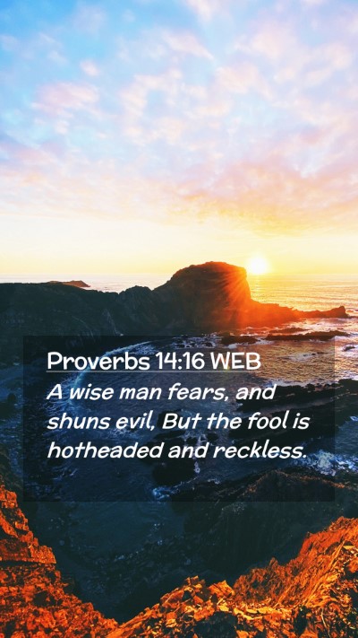 Picture 02 - Proverbs 14:16 WEB Mobile Phone Wallpaper - A wise man fears, and shuns evil, But the fool is - Mobile Bible Verse Wallpaper