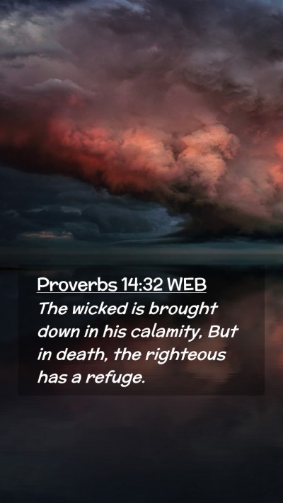 Picture 02 - Proverbs 14:32 WEB Mobile Phone Wallpaper - The wicked is brought down in his calamity, But - Mobile Bible Verse Wallpaper