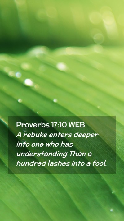 Picture 02 - Proverbs 17:10 WEB Mobile Phone Wallpaper - A rebuke enters deeper into one who has - Mobile Bible Verse Wallpaper