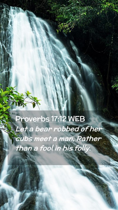 Picture 02 - Proverbs 17:12 WEB Mobile Phone Wallpaper - Let a bear robbed of her cubs meet a man, Rather - Mobile Bible Verse Wallpaper