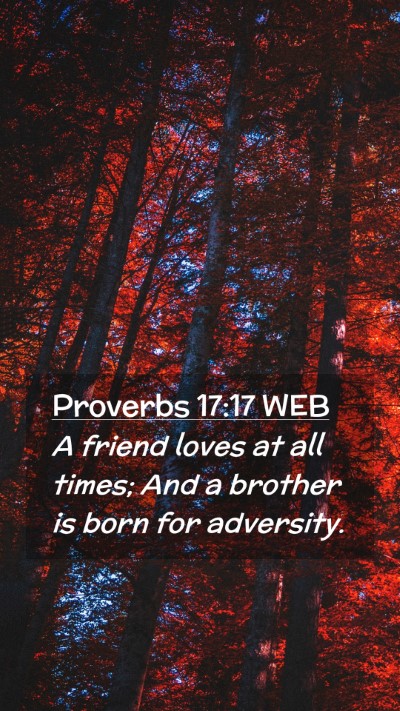 Picture 02 - Proverbs 17:17 WEB Mobile Phone Wallpaper - A friend loves at all times; And a brother is - Mobile Bible Verse Wallpaper