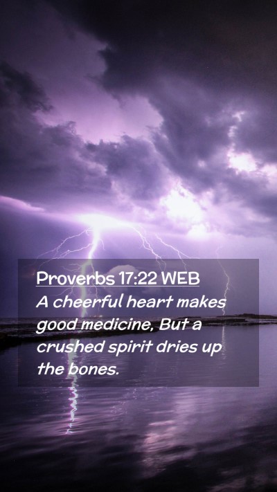 Picture 02 - Proverbs 17:22 WEB Mobile Phone Wallpaper - A cheerful heart makes good medicine, But a - Mobile Bible Verse Wallpaper