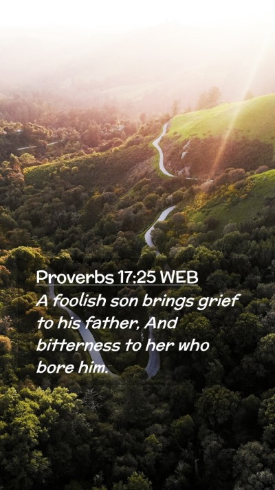 Picture 02 - Proverbs 17:25 WEB Mobile Phone Wallpaper - A foolish son brings grief to his father, And - Mobile Bible Verse Wallpaper