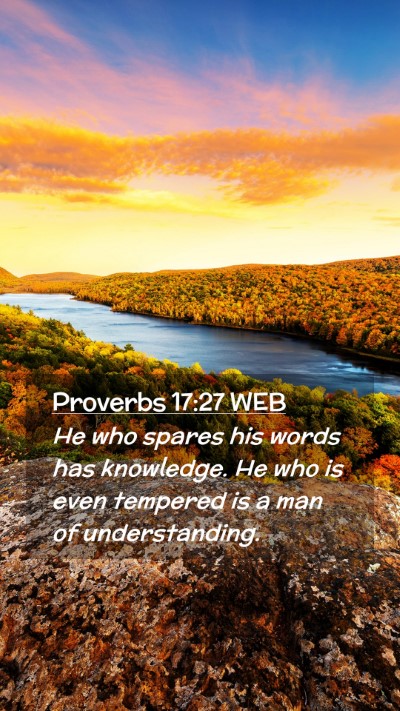 Picture 02 - Proverbs 17:27 WEB Mobile Phone Wallpaper - He who spares his words has knowledge. He who is - Mobile Bible Verse Wallpaper