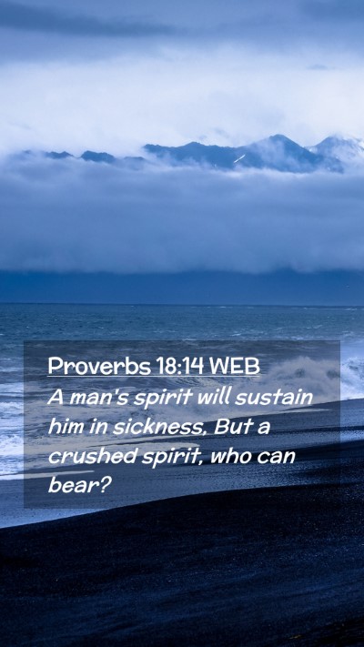 Picture 02 - Proverbs 18:14 WEB Mobile Phone Wallpaper - A man's spirit will sustain him in sickness, But - Mobile Bible Verse Wallpaper