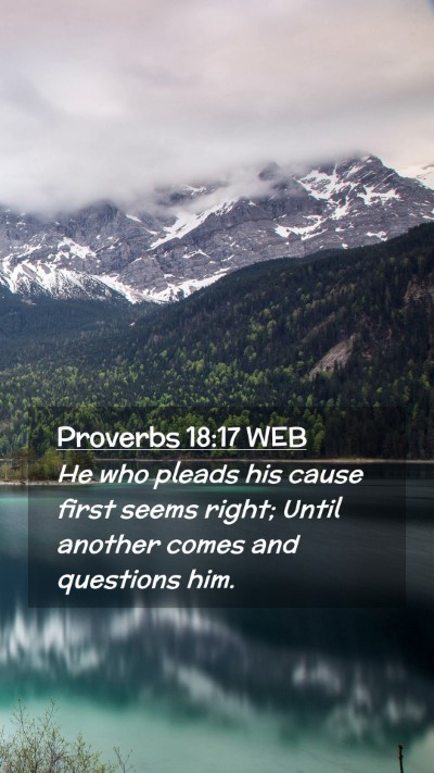 Picture 02 - Proverbs 18:17 WEB Mobile Phone Wallpaper - He who pleads his cause first seems right; Until - Mobile Bible Verse Wallpaper