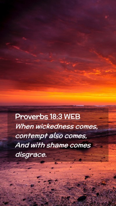 Picture 02 - Proverbs 18:3 WEB Mobile Phone Wallpaper - When wickedness comes, contempt also comes, And - Mobile Bible Verse Wallpaper
