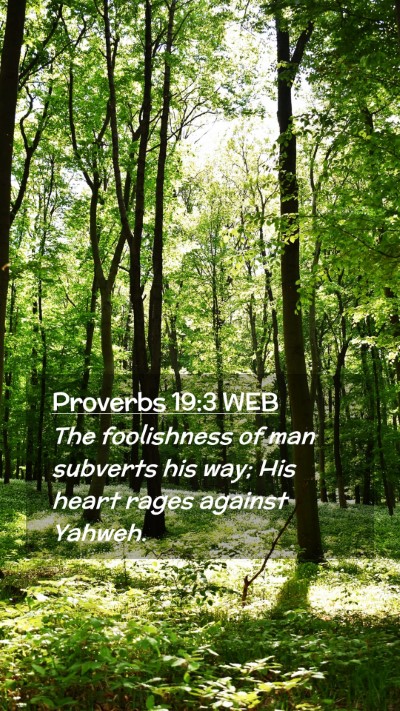 Picture 02 - Proverbs 19:3 WEB Mobile Phone Wallpaper - The foolishness of man subverts his way; His - Mobile Bible Verse Wallpaper