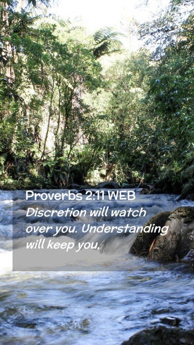 Picture 02 - Proverbs 2:11 WEB Mobile Phone Wallpaper - Discretion will watch over you. Understanding - Mobile Bible Verse Wallpaper
