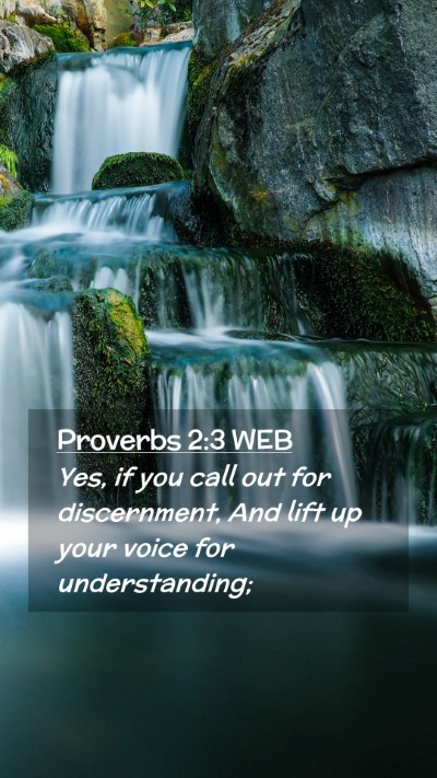 Picture 02 - Proverbs 2:3 WEB Mobile Phone Wallpaper - Yes, if you call out for discernment, And lift up - Mobile Bible Verse Wallpaper