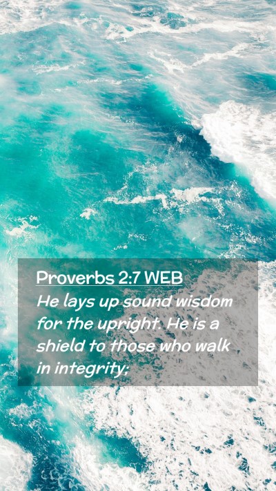Picture 02 - Proverbs 2:7 WEB Mobile Phone Wallpaper - He lays up sound wisdom for the upright. He is a - Mobile Bible Verse Wallpaper